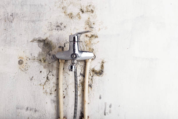 Best Post-Flood Mold Remediation in Sewalls Point, FL